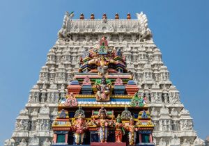 Tiruvannamalai store