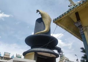 Thamaraipakkam store